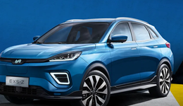 揭開威馬汽車招股書的B面