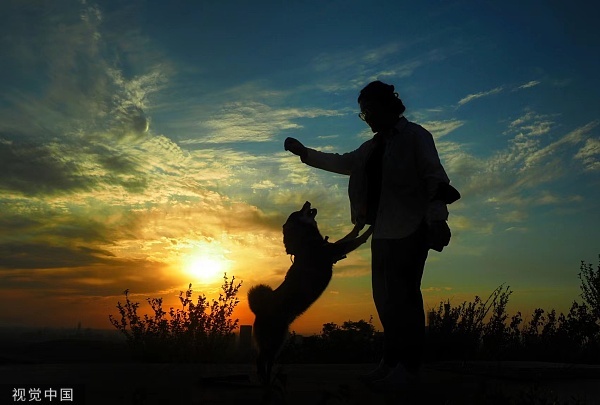 气候变化,生态保护,环境保护,人与自然,狗