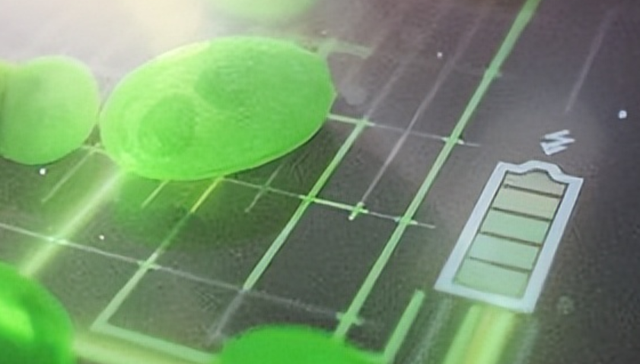 新能源,发电,微生物,科学技术