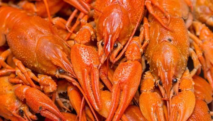 餐饮,消费,网红经济,小龙虾,外卖