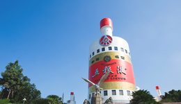 曾从钦上任满100天，五粮液改革要看什么？