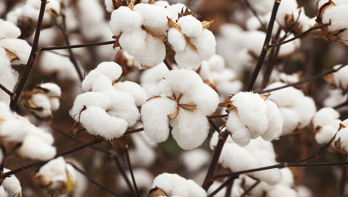 财说｜4.5亿元增购乳胶产品业务，稳健医疗这笔交易值吗？