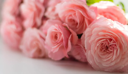 年轻人买鲜花：你以为是送礼，其实是送钱