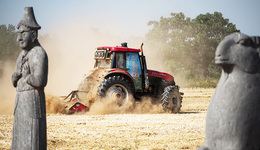 每周奇趣掠影丨千年宋陵迎來麥?zhǔn)占?；貴州一高考考點僅有一名學(xué)生
