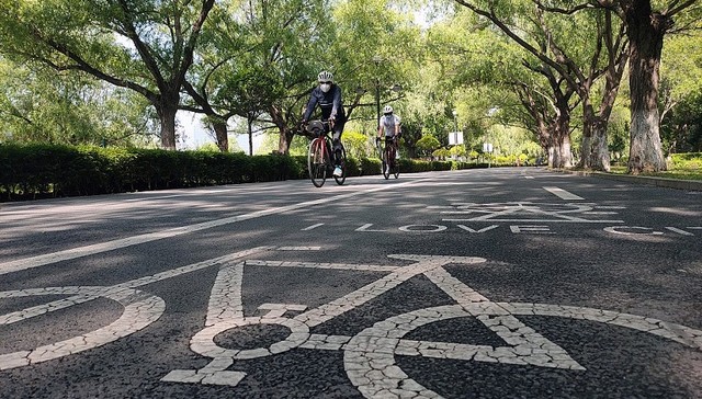 一车难求，潮流骑行能否激活运动自行车产业？