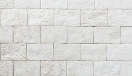 “帶病”上陣的馬可波羅