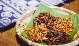 滇菜，低调的宝藏菜系