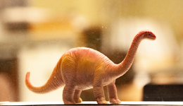 本土主題樂園搶奪“恐龍”史