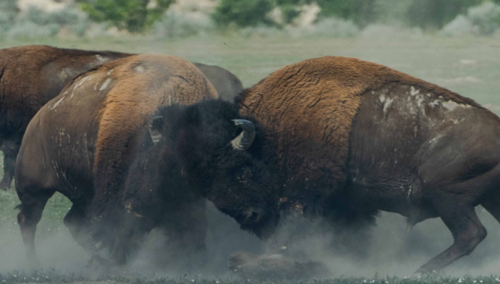 618,直播带货,视频号,营销