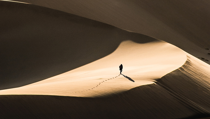 资本市场,高瓴资本,价值投资,业绩,张磊