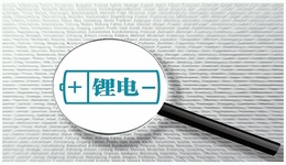 傍上“宁王”，龙蟠科技70亿“押注”磷酸铁锂，赌输了怎么办？