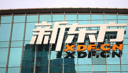 新东方在线直播火了，股价飙涨100%