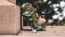 体面地送葬一只宠物要花多少钱？