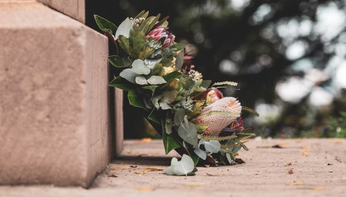 宠物殡葬,宠物店