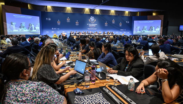 世贸,WTO,改革,贸易,粮食安全,危机,疫苗,新冠疫情