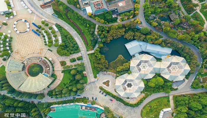 财说 | 依赖关联交易、净利持续亏损，云南旅游把自己搞丢了