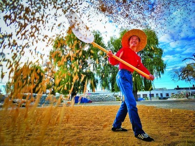 乡村生态,东北振兴,旅游旺季,清河镇,村民,,,中药材产业,人参,母亲河,环境质量状况