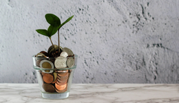 50億，罕見LP來了