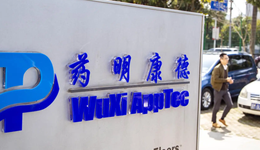 永远在减持的路上，浓眉大眼的药明康德还有多少隐忧点？