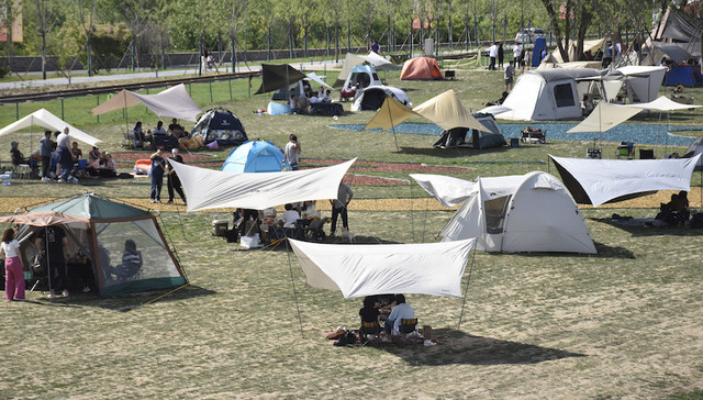 帐篷,露营,城市管理