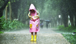 【圖集】南方接連暴雨，多地發(fā)生洪澇災害