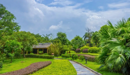 半道跨界，农尚环境路向何方？