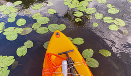 年轻人流行“水上漂”，这项小众运动又出圈了