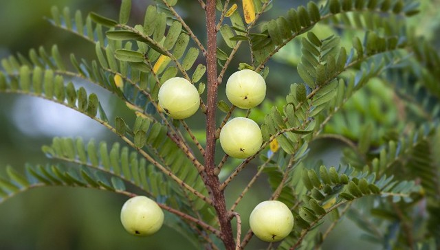 Tianye Innovation Corporation plans to list on Beijing exchange