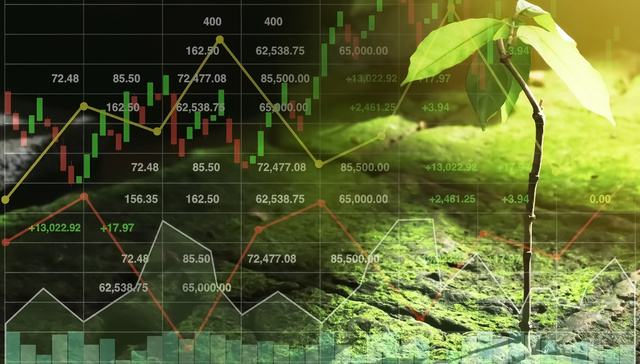 上海浦东新区绿色金融法规出台，为碳排放权交易提供法治保障