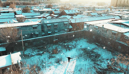 故乡，在拆与不拆之间丨正午视觉