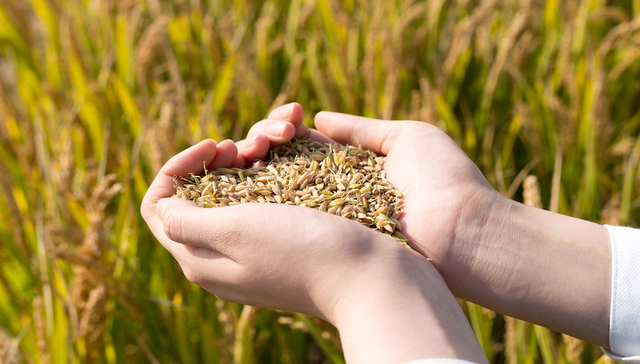 农业,苏垦农发,北大荒