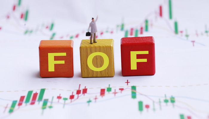 中欧基金,中欧预见稳健养老,桑磊