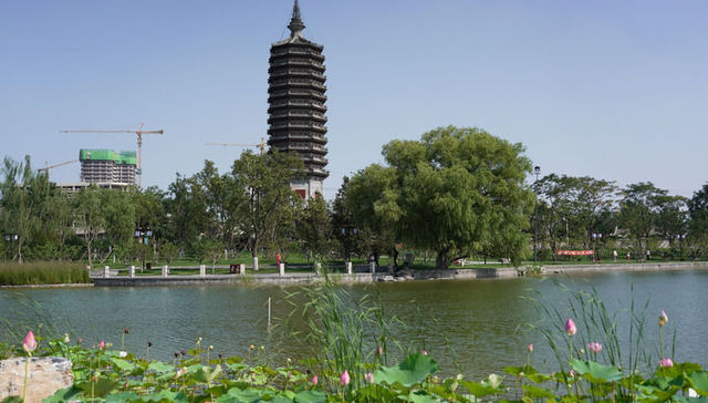 燃灯塔,青头潜鸭,戴村坝,震旦鸦雀,无人机,东方白鹳,京杭大运河,打卡,十四五,讲述