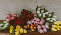 突破从0到1后，鲜花电商2.0时代怎么走？