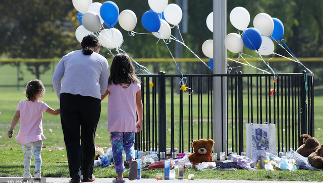 美国枪支安全法落地：加强对21岁以下购枪者背景调查