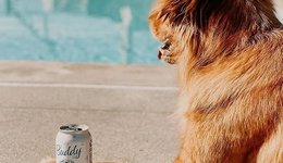 三得利新品自由度拉满，啤酒市场打响复兴之战