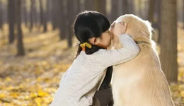 山東，又跑出一個(gè)寵物IPO：乖寶寵物要上市了