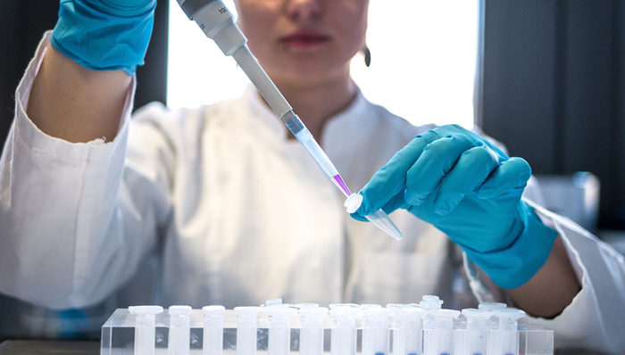 新能源,VC,化学人才