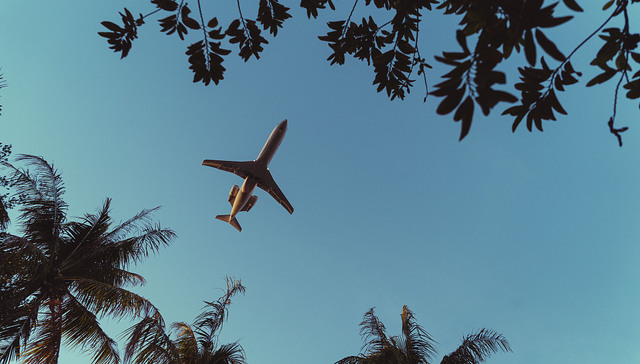 上海飞三亚航班爆火，机票出票量增长近1.5倍