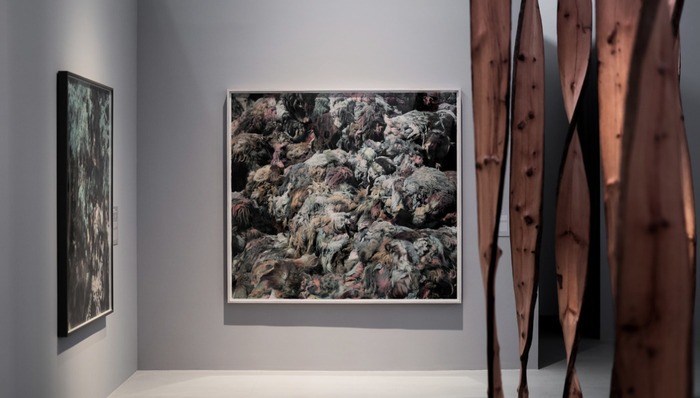 人与自然,当代艺术,展览推荐