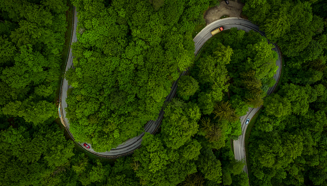 SAP发布可持续发展六大方案，企业之外还想帮城市减碳