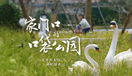 百姓話思想⑥｜推窗見(jiàn)綠，出門(mén)進(jìn)園：這個(gè)小區(qū)的空間做了“微創(chuàng)手術(shù)”