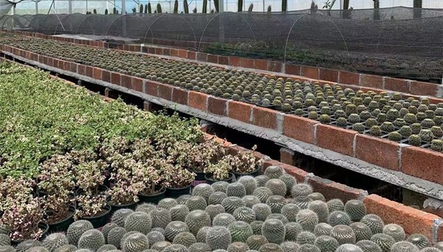 江西崇义组合拳助推乡村振兴，于都服装产业向数字化转型升级