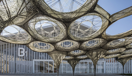 今日起，上海這些藝術(shù)館和博物館重新向市民開放