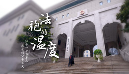 百姓話思想⑧｜法官，你的上海話怎么有一股東北味兒？