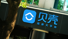 彭永东背上了沉重的壳