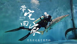 百姓話思想⑨｜保護(hù)長(zhǎng)江，盼它回家：這條魚(yú)來(lái)自1.4億年以前