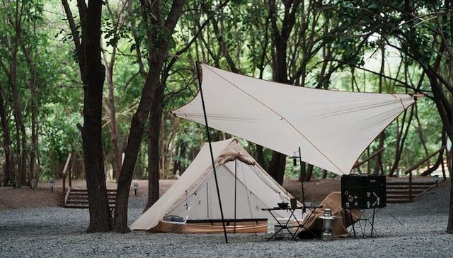 一周旅行指南 | 凯悦酒店集团推出畅享度假系列，居舍系列呈献多宝格灵感设计月饼礼盒