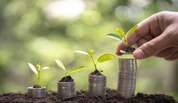 中國銀行：下半年我國經(jīng)濟(jì)或快速復(fù)蘇，全年增長4%左右