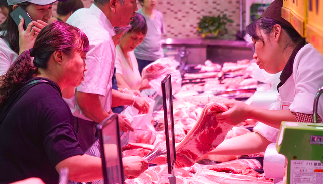 猪价,储备肉,能繁母猪,